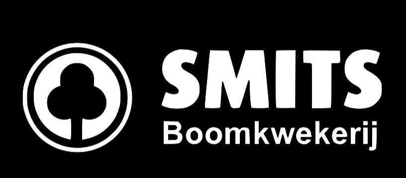 logo12